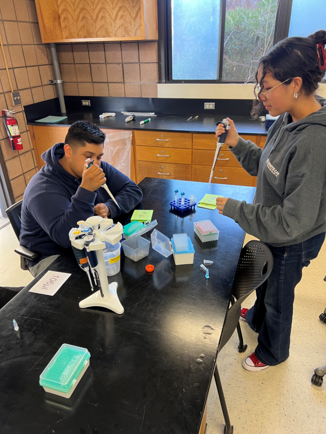 Two participants work on P1000 and P20 techniques!